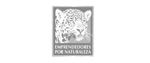 Logo 9