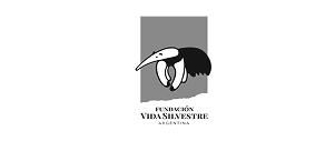 Logo 50