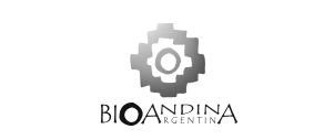 Logo 51